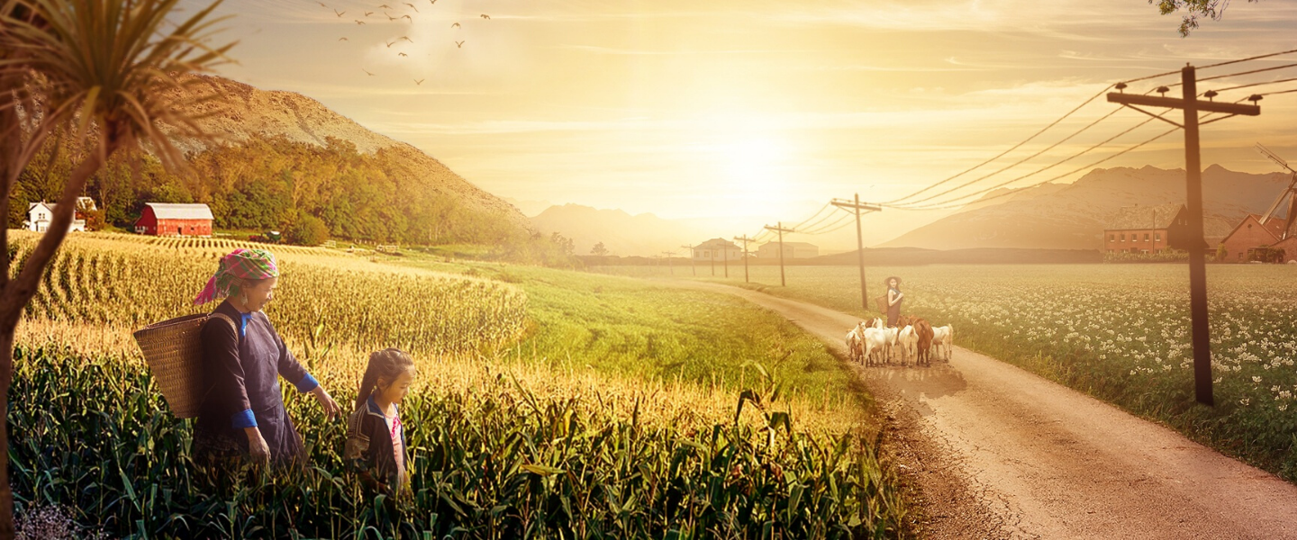 journey of a famer's wife, woman in field at sunrise