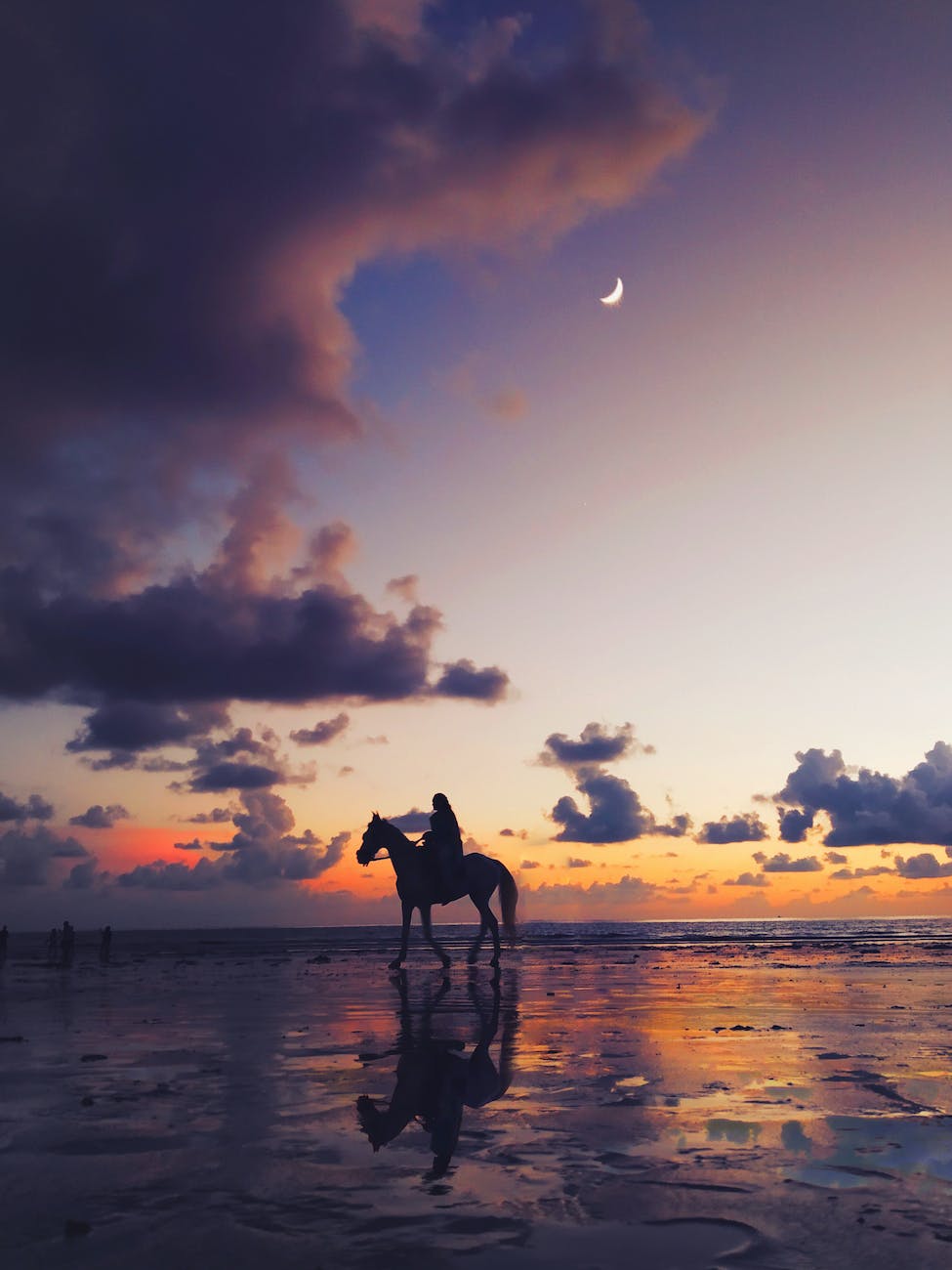 journey of a farmer's wife, silhouette of woman riding a horse